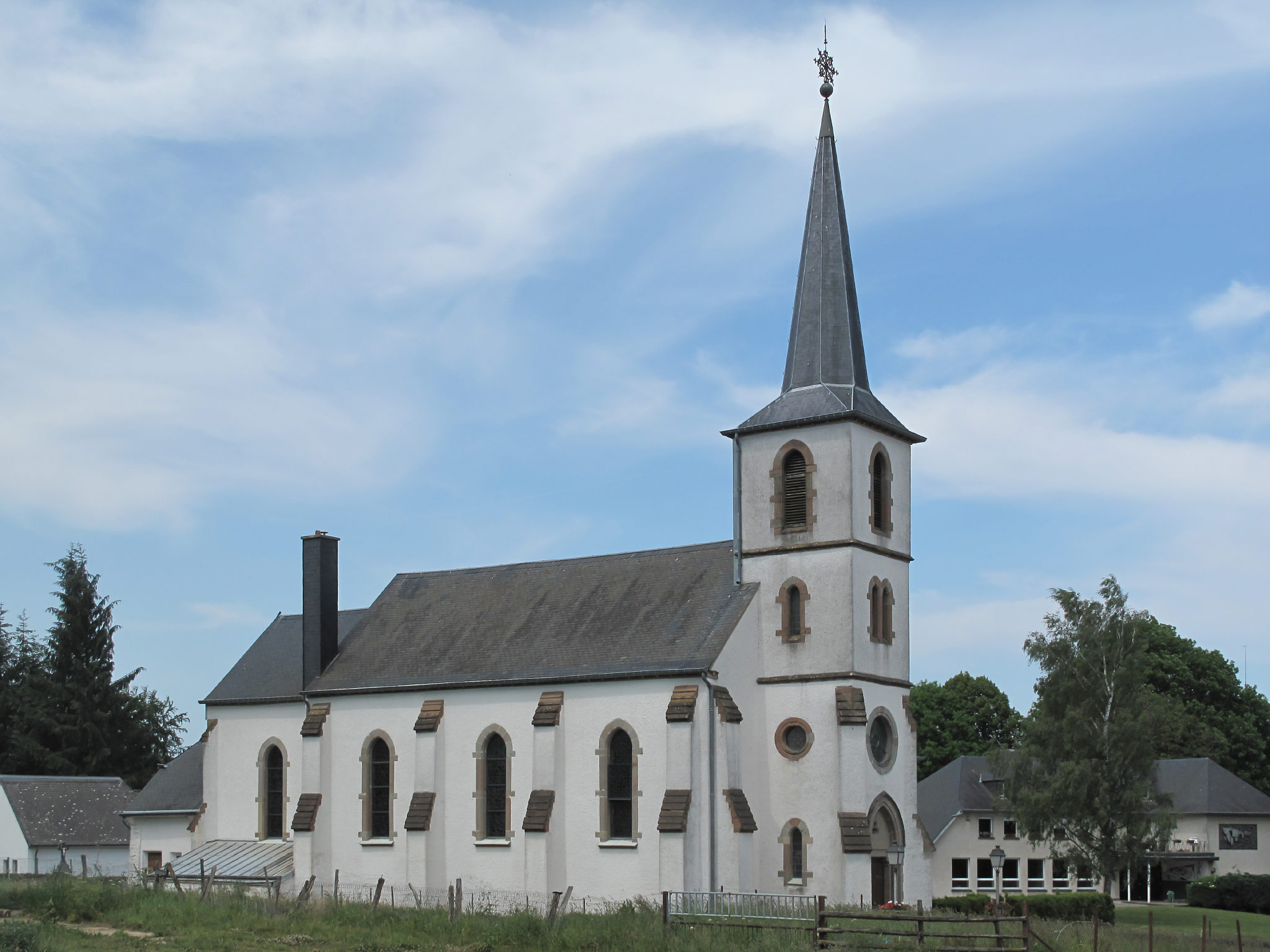 Binsfeld